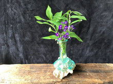 Load image into Gallery viewer, Hand Blown Glass Vase
