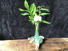 Load image into Gallery viewer, Hand Blown Glass Vase
