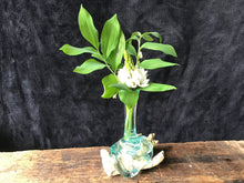 Load image into Gallery viewer, Hand Blown Glass Vase
