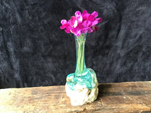 Load image into Gallery viewer, Hand Blown Glass Vase
