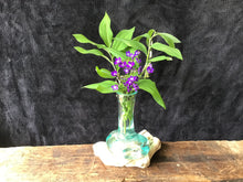 Load image into Gallery viewer, Hand Blown Glass Vase
