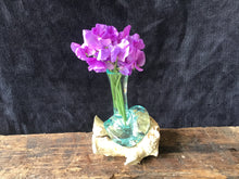 Load image into Gallery viewer, Hand Blown Glass Vase
